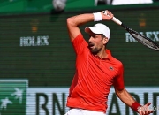 开云体育在线-关于意大利网球队轻取西班牙网球队，瓦林卡关键制胜的信息