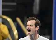 开云体育-联合杯绝杀ATP总决赛，穆雷高光表现的简单介绍