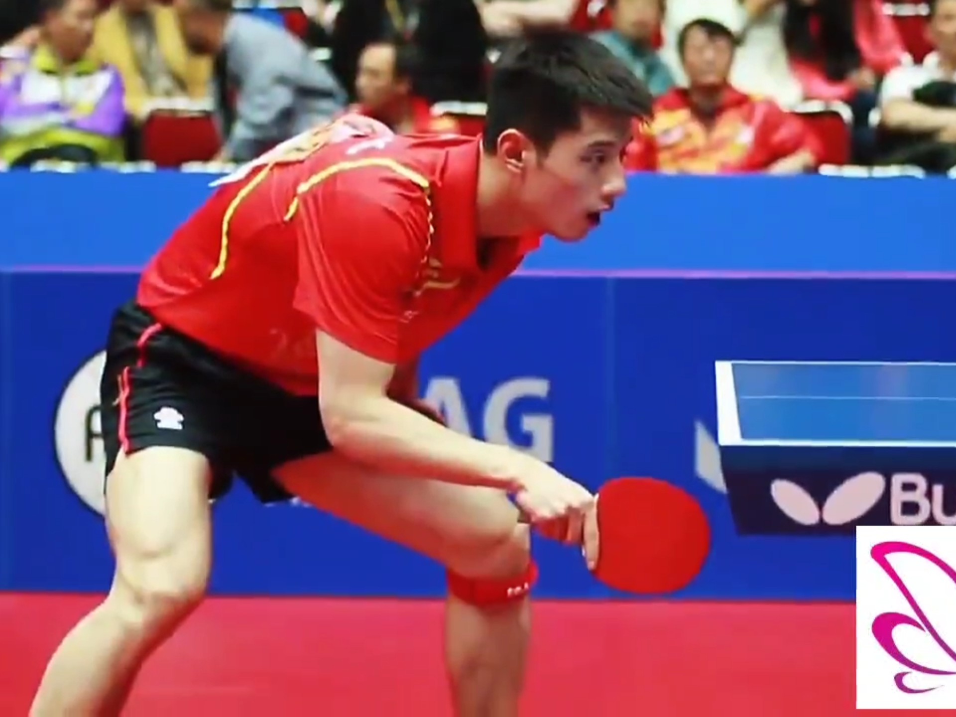 日本乒乓球队力克比利时乒乓球队,张继科统治全场的简单介绍 日本乒乓球队力克比利时乒乓球队,张继科统治全场的简单介绍