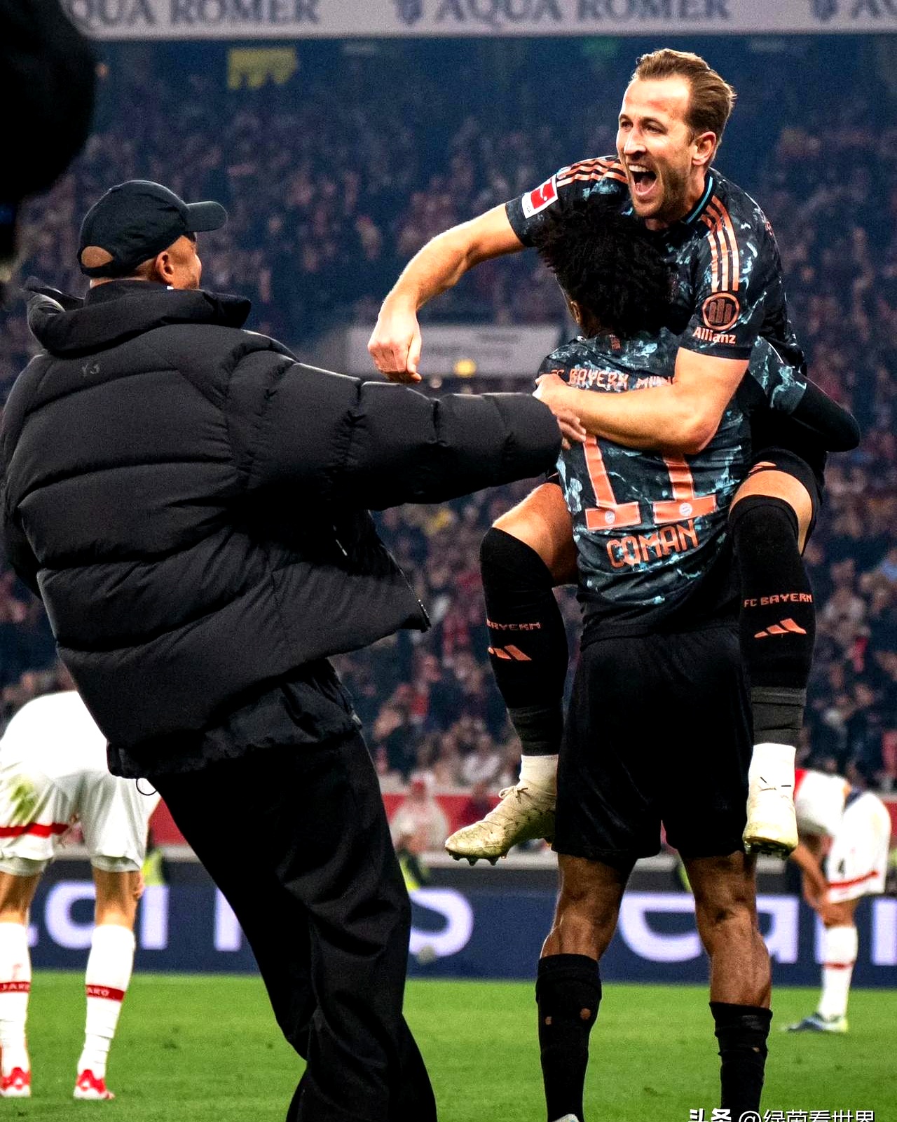 关于塞内加尔逆转瑞典,哈里·凯恩完成帽子戏法的信息 关于塞内加尔逆转瑞典,哈里·凯恩完成帽子戏法的信息