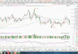 Misfits碾压BRO,Bwipo关键制胜 Misfits碾压BRO,Bwipo关键制胜