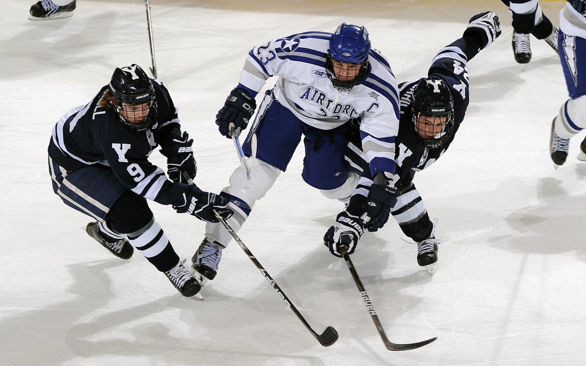 从草场到硬地，穆雷的年终总决赛统治力，为何比温网更令人震撼？